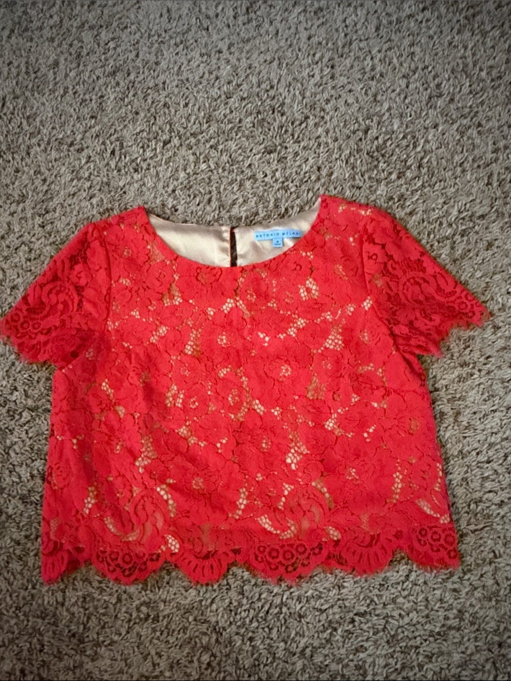 ANTONIO MELANI Red Lace Short-Sleeve Crop Top